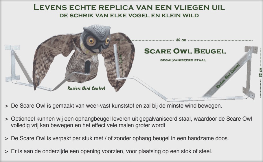 37FFA307-FE47-4A50-B4AE-4136BD79E53D